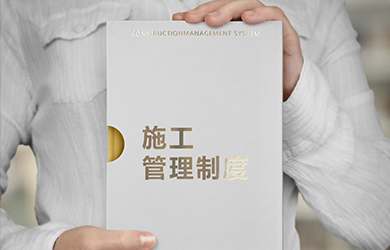 制度化管理體系
